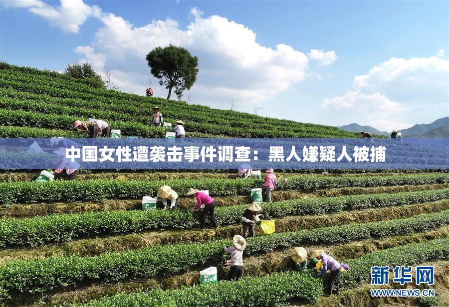 中国女性遭袭击事件调查：黑人嫌疑人被捕
