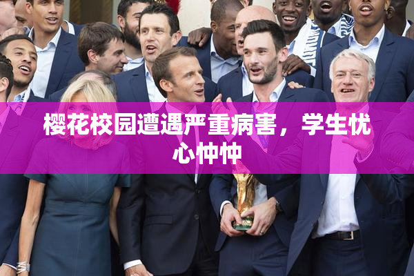 樱花校园遭遇严重病害，学生忧心忡忡