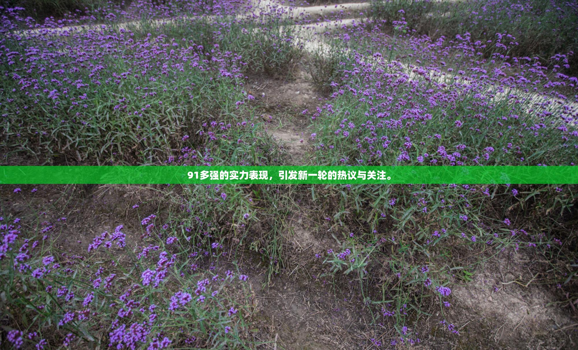 91多强的实力表现，引发新一轮的热议与关注。