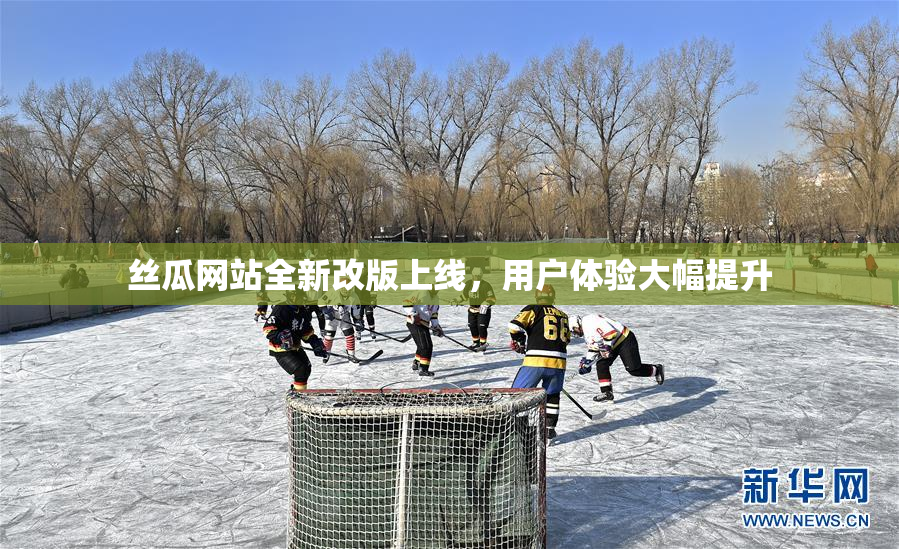 丝瓜网站全新改版上线，用户体验大幅提升