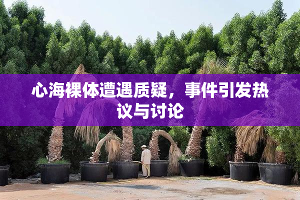 心海裸体遭遇质疑，事件引发热议与讨论