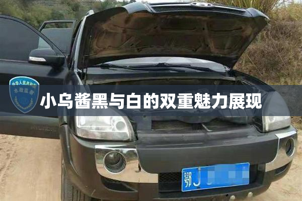 小乌酱黑与白的双重魅力展现