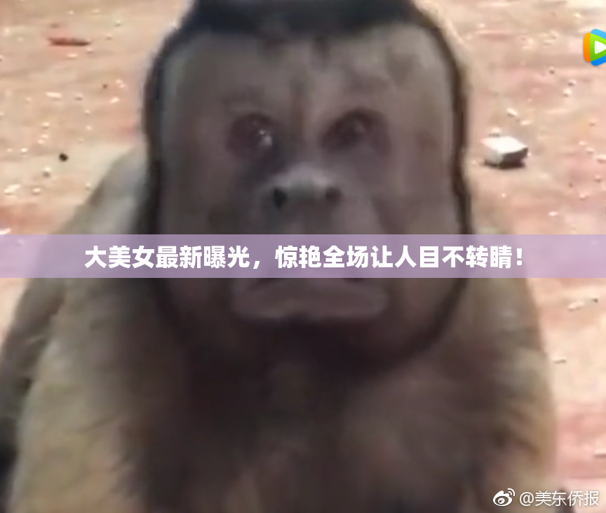大美女最新曝光，惊艳全场让人目不转睛！