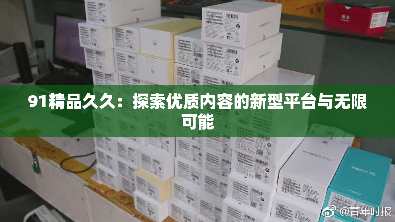 91精品久久：探索优质内容的新型平台与无限可能