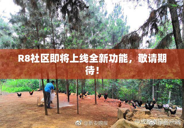 R8社区即将上线全新功能，敬请期待！