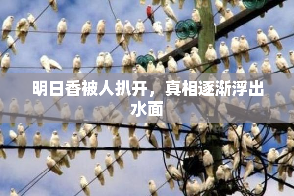 明日香被人扒开，真相逐渐浮出水面