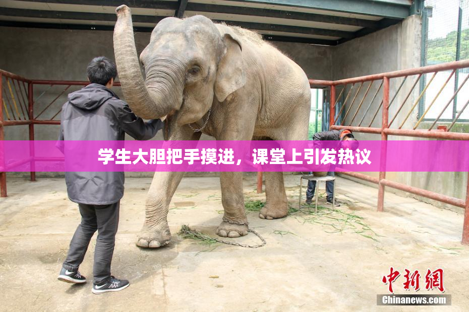 学生大胆把手摸进，课堂上引发热议