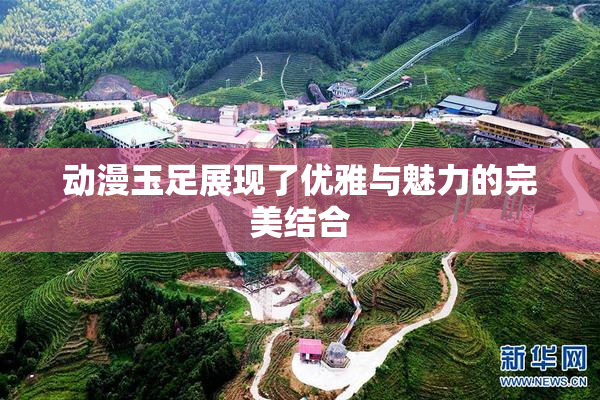 动漫玉足展现了优雅与魅力的完美结合