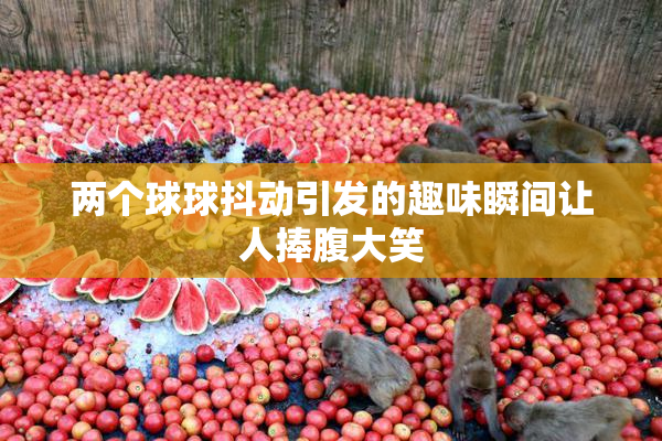 两个球球抖动引发的趣味瞬间让人捧腹大笑