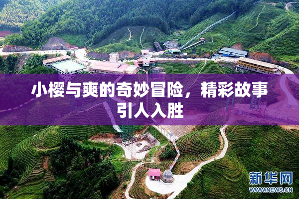 小樱与爽的奇妙冒险，精彩故事引人入胜