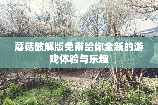 蘑菇破解版免带给你全新的游戏体验与乐趣