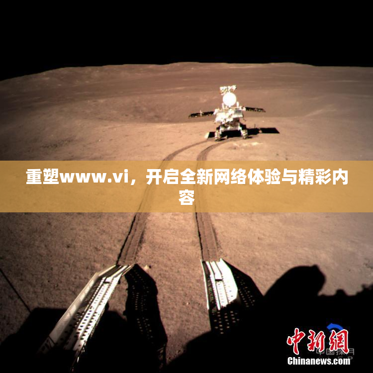 重塑www.vi，开启全新网络体验与精彩内容