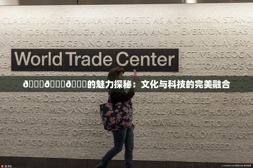 🍆🍑🔞的魅力探秘：文化与科技的完美融合