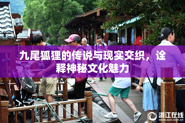 九尾狐狸的传说与现实交织，诠释神秘文化魅力