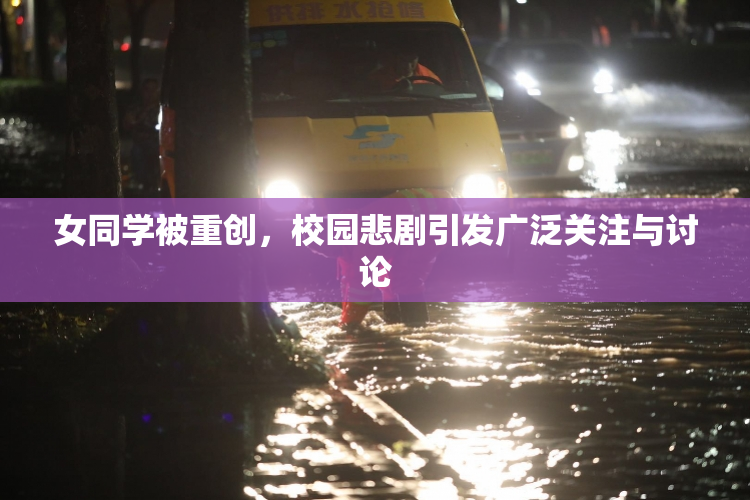 女同学被重创，校园悲剧引发广泛关注与讨论