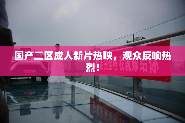 国产二区成人新片热映，观众反响热烈！