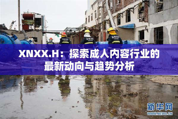 XNXX.H：探索成人内容行业的最新动向与趋势分析