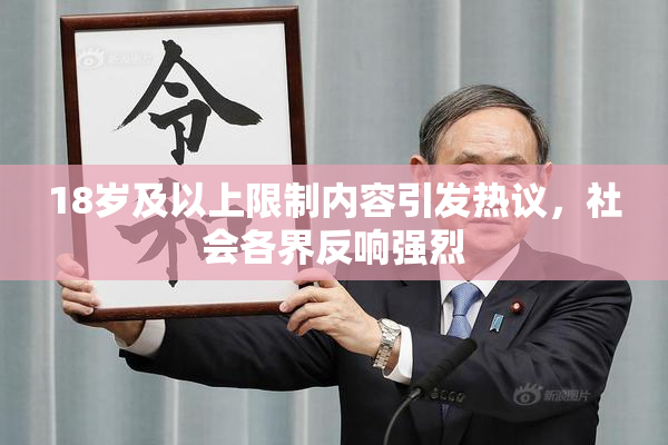 18岁及以上限制内容引发热议，社会各界反响强烈