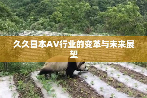 久久日本AV行业的变革与未来展望