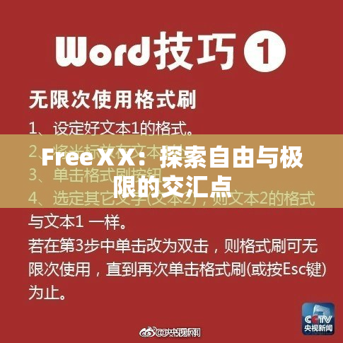 FreeⅩX：探索自由与极限的交汇点