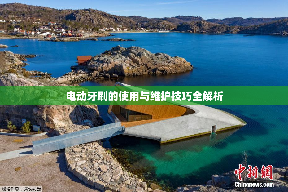 电动牙刷的使用与维护技巧全解析