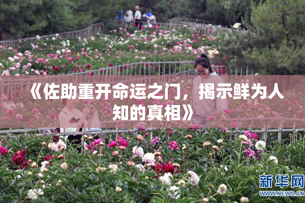 《佐助重开命运之门，揭示鲜为人知的真相》