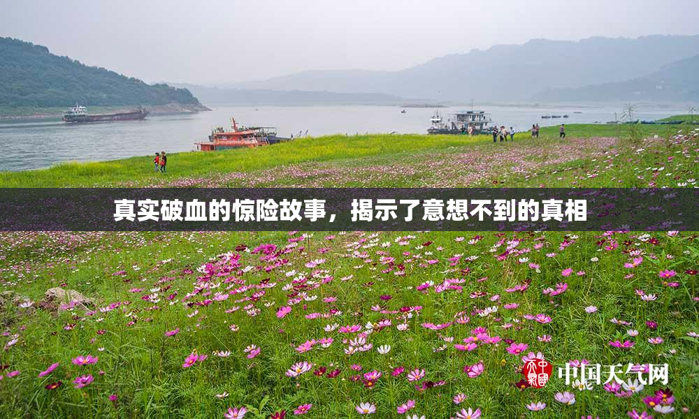 真实破血的惊险故事，揭示了意想不到的真相