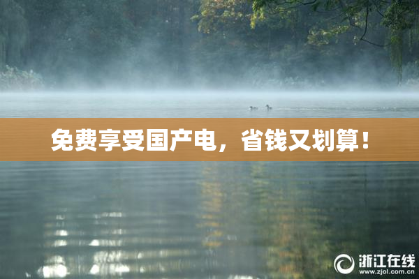 免费享受国产电，省钱又划算！