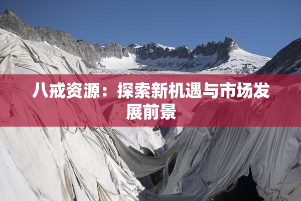 八戒资源：探索新机遇与市场发展前景