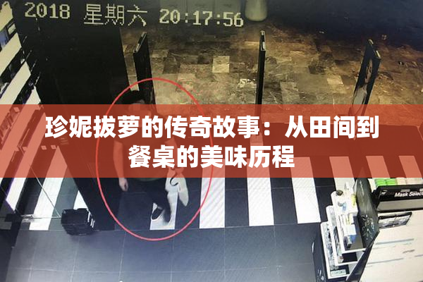 珍妮拔萝的传奇故事：从田间到餐桌的美味历程