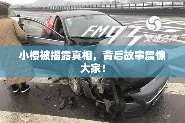 小樱被揭露真相，背后故事震惊大家！