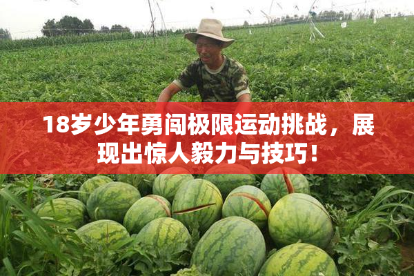 18岁少年勇闯极限运动挑战，展现出惊人毅力与技巧！