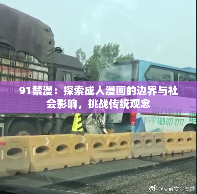 91禁漫：探索成人漫画的边界与社会影响，挑战传统观念