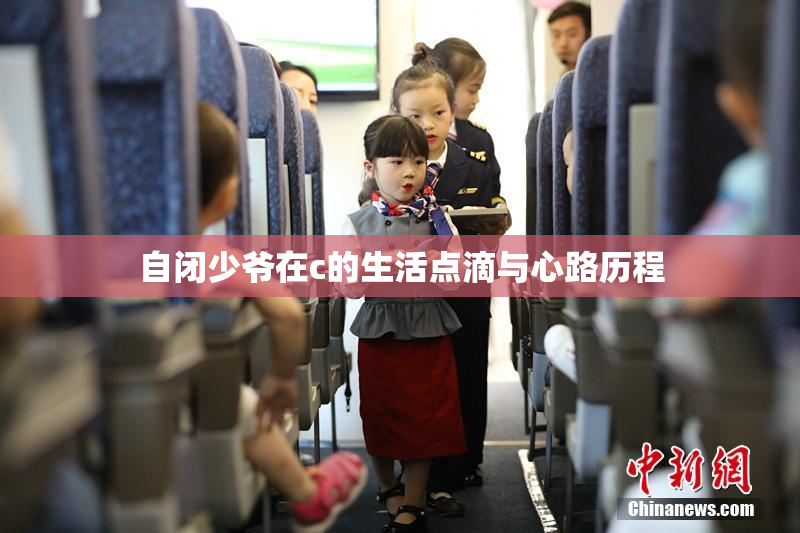 自闭少爷在c的生活点滴与心路历程