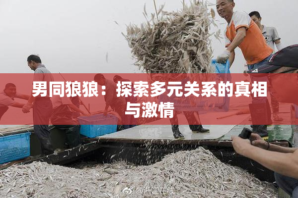 男同狼狼：探索多元关系的真相与激情