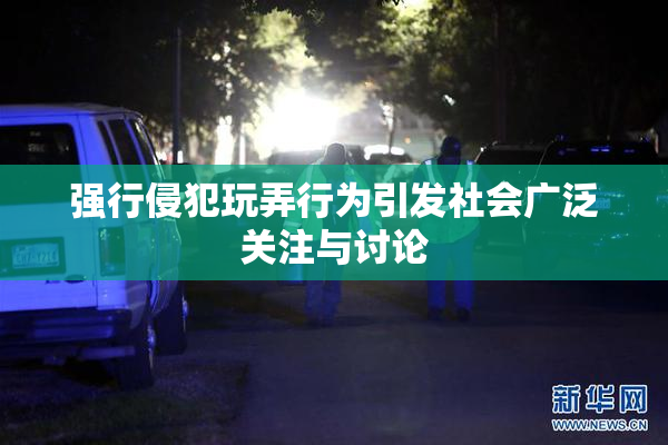 强行侵犯玩弄行为引发社会广泛关注与讨论