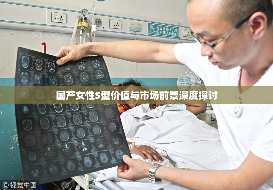 国产女性S型价值与市场前景深度探讨