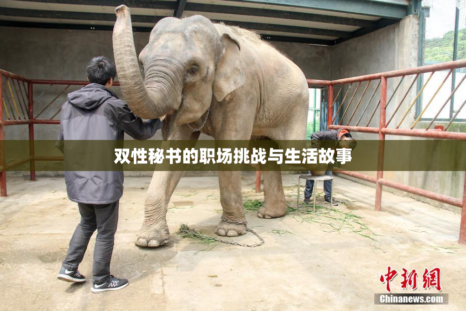 双性秘书的职场挑战与生活故事