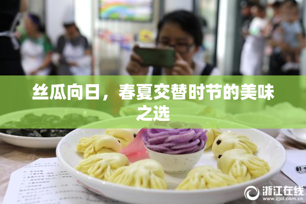 丝瓜向日，春夏交替时节的美味之选