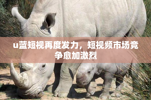 u蓝短视再度发力，短视频市场竞争愈加激烈