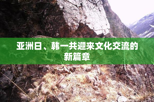 亚洲日、韩一共迎来文化交流的新篇章