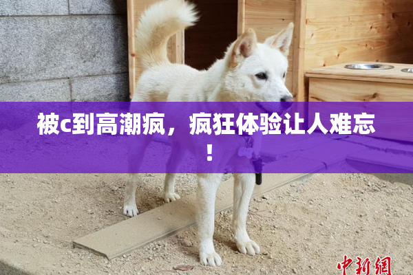 被c到高潮疯，疯狂体验让人难忘！