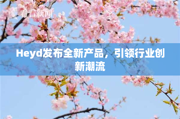 Heyd发布全新产品，引领行业创新潮流