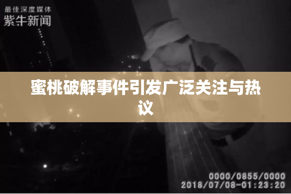 蜜桃破解事件引发广泛关注与热议