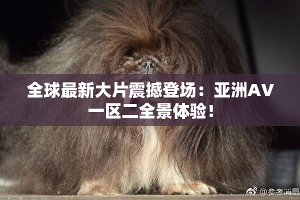 全球最新大片震撼登场：亚洲AV一区二全景体验！