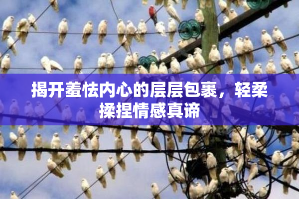揭开羞怯内心的层层包裹，轻柔揉捏情感真谛