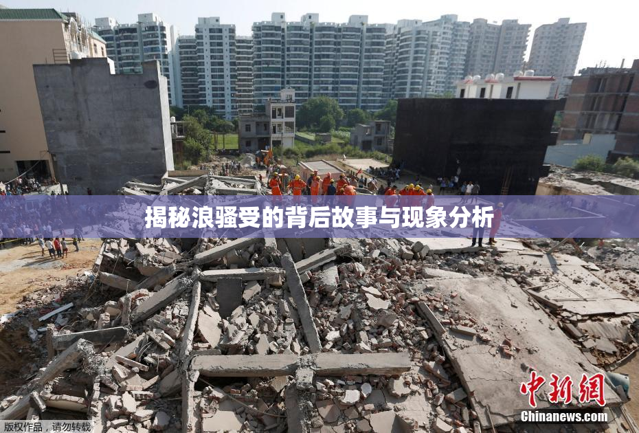 揭秘浪骚受的背后故事与现象分析