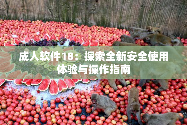 成人软件18：探索全新安全使用体验与操作指南