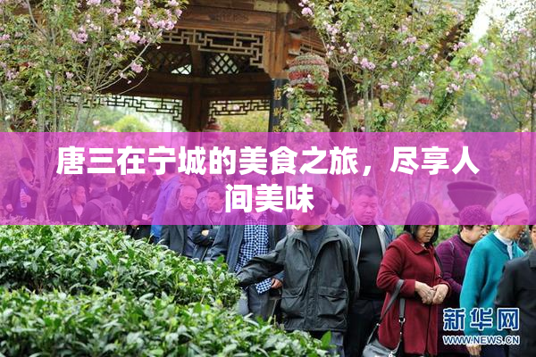 唐三在宁城的美食之旅，尽享人间美味