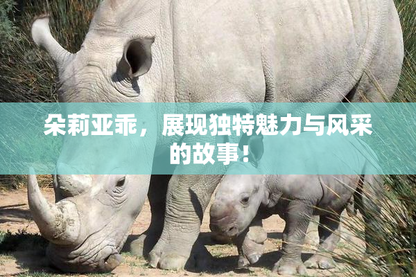 朵莉亚乖，展现独特魅力与风采的故事！